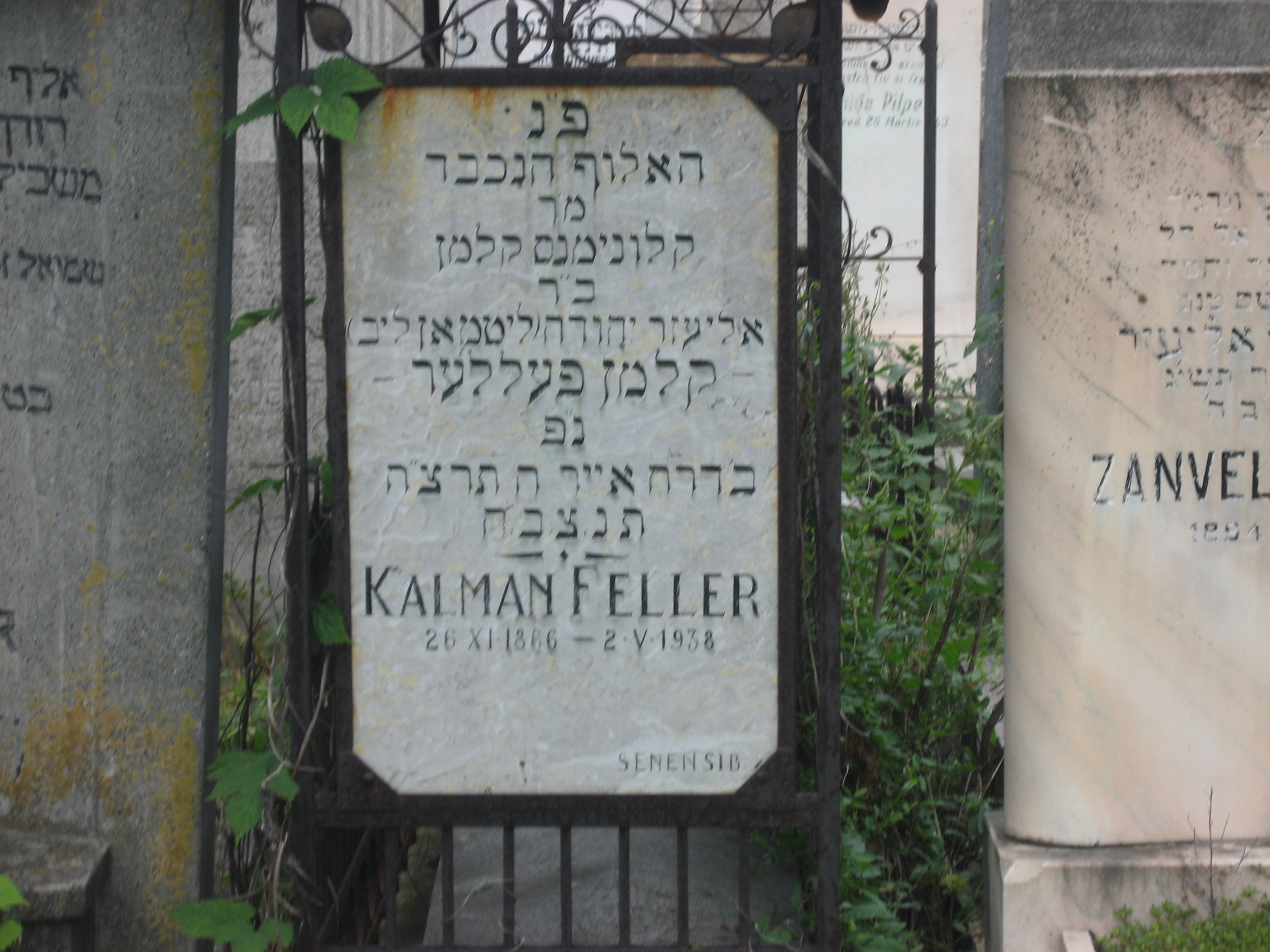 Taken on August 27th, 2007 at the Jewish (old or new) Cemetery at RO(Botoşani) and sourced from TEL(RegevChayim).
