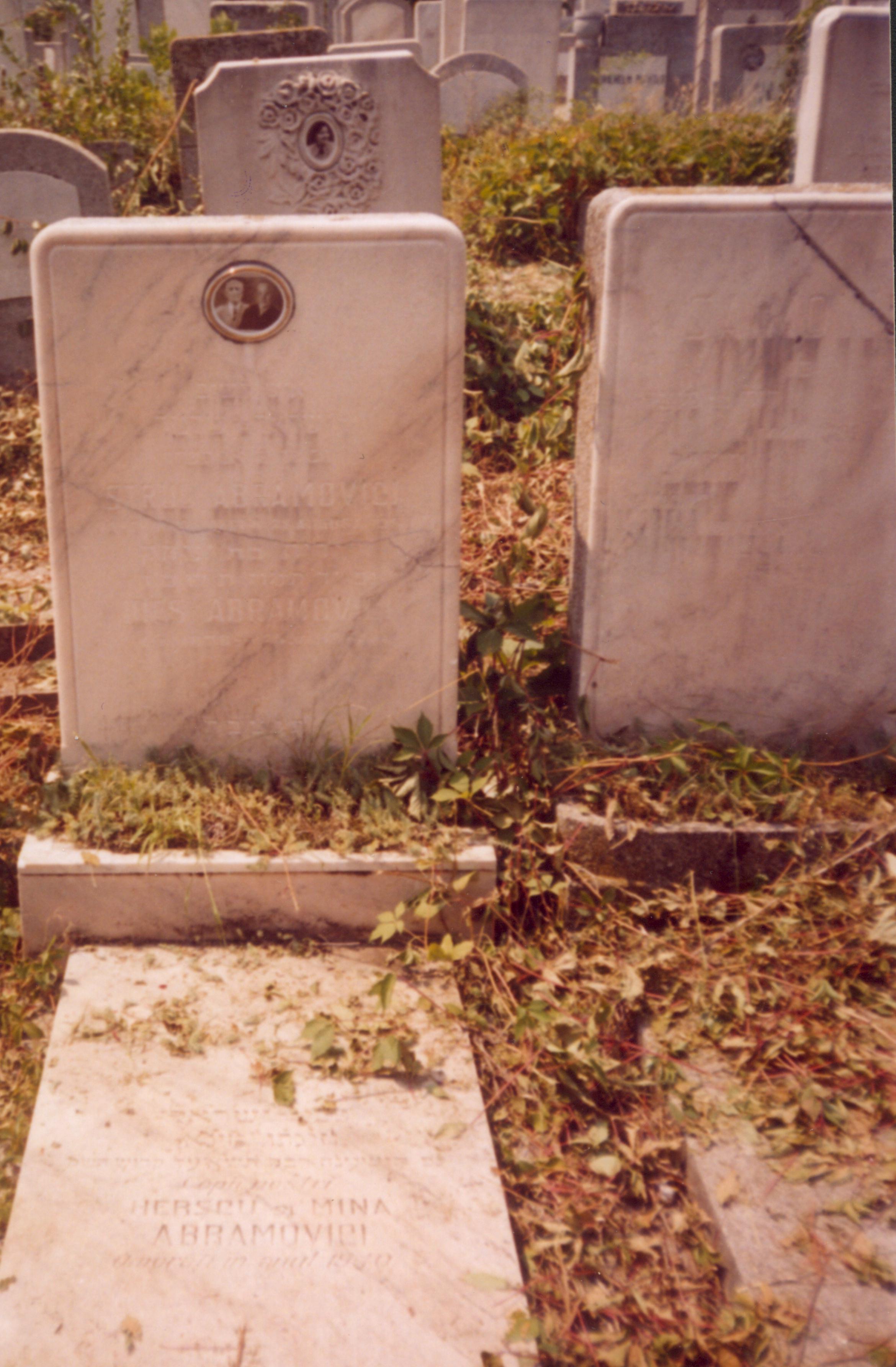 Taken in August 2004 at the Jewish Ashkenaz Cemetery "Giurgiului" at RO(Bucureşti) and sourced from JG029873=ALX=FinkelsteinAlex.