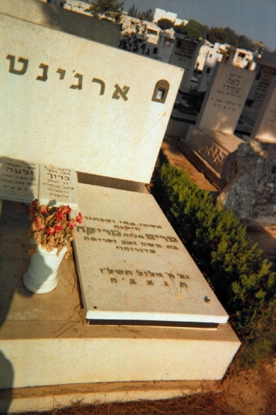 Taken on September 19th, 2004 at the Jewish Cemetery "Holon" at IL(Holon) for Dan area and sourced from JG029873=ALX=FinkelsteinAlex.