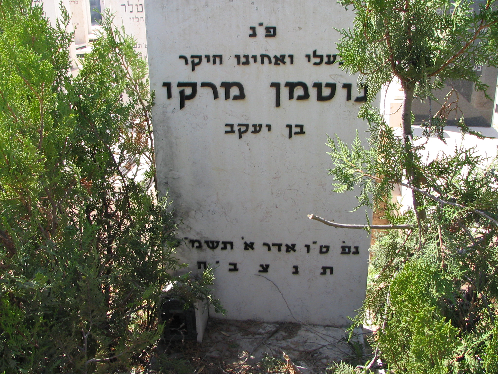 Taken in 2004 at the Jewish Cemetery "Holon" at IL(Holon) for Dan area.