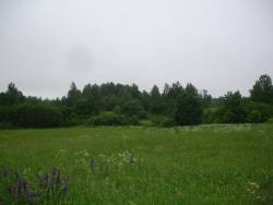 Taken  июня 2009 г в дер. Самагариха and sourced from 2009 июнь поездка в Великие Луки, Лихолетье, Ловец.