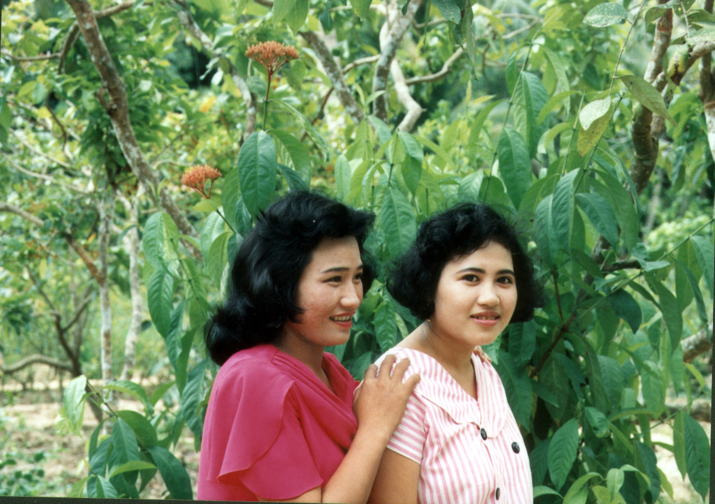 Taken in 1995 in Nhà Vĩnh Hòa.