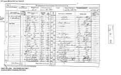 Taken in March 1871 in 3 Friendly Pl Mile End Old Town and sourced from 1871 census.
