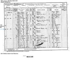 Taken in 1891 in 110 Abbots Rd   Bromley Poplar Middlesex and sourced from 1891 census.