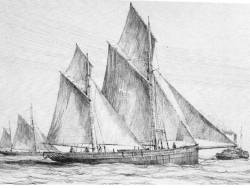 Taken in 1861 in North Sea.
