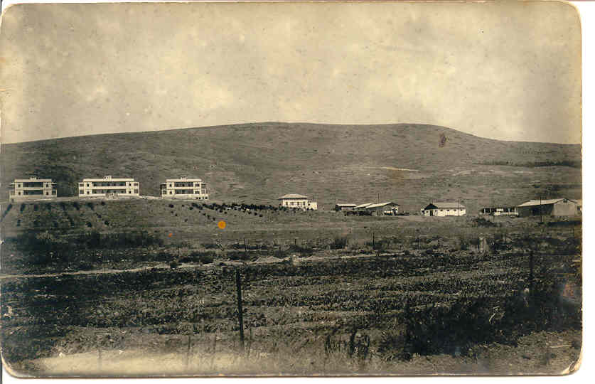 Ziffer Yona build the first three buildings of Kibbutz Kinnert end of the 1920'