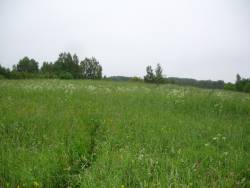 Taken&nbsp; июня 2009 г  дер. Самагариха and sourced from Фото урочища деревни Самагариха.