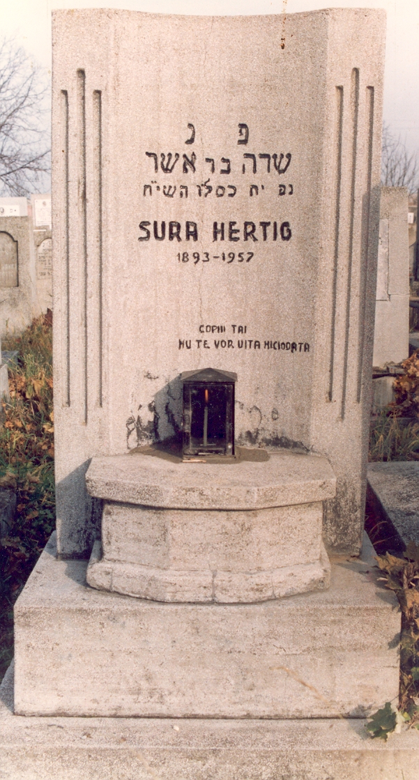 Taken after 1957 in Jewish (new) Cemetery at RO(Botoşani) and sourced from TEL(AntlerTuvyah).