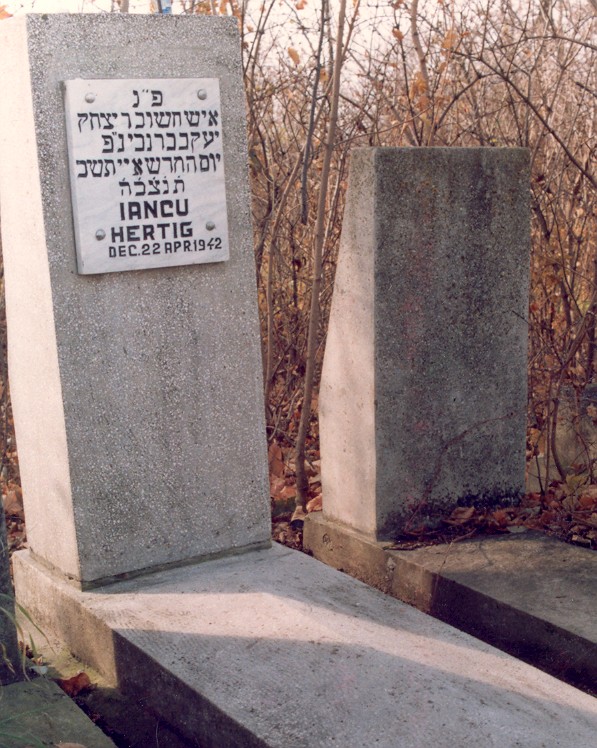 Taken after 1942 in Jewish (new) Cemetery at RO(Botoşani) and sourced from TEL(AntlerTuvyah).