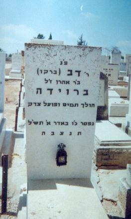 Taken at the Jewish Cemetery "Sgulah" at IL(PT) and sourced from JG029873=ALX=FinkelsteinAlex.