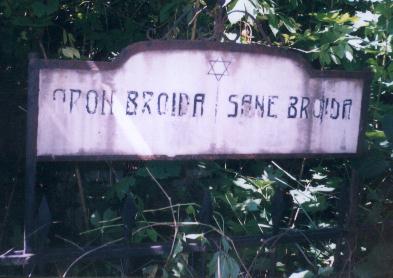 Taken at the Jewish (old or new) Cemetery at RO(Botoşani) and sourced from TEL(FinkelGustav).