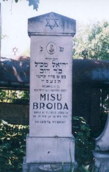 Taken at the Jewish (old or new) Cemetery at RO(Botoşani) and sourced from TEL(FinkelGustav).