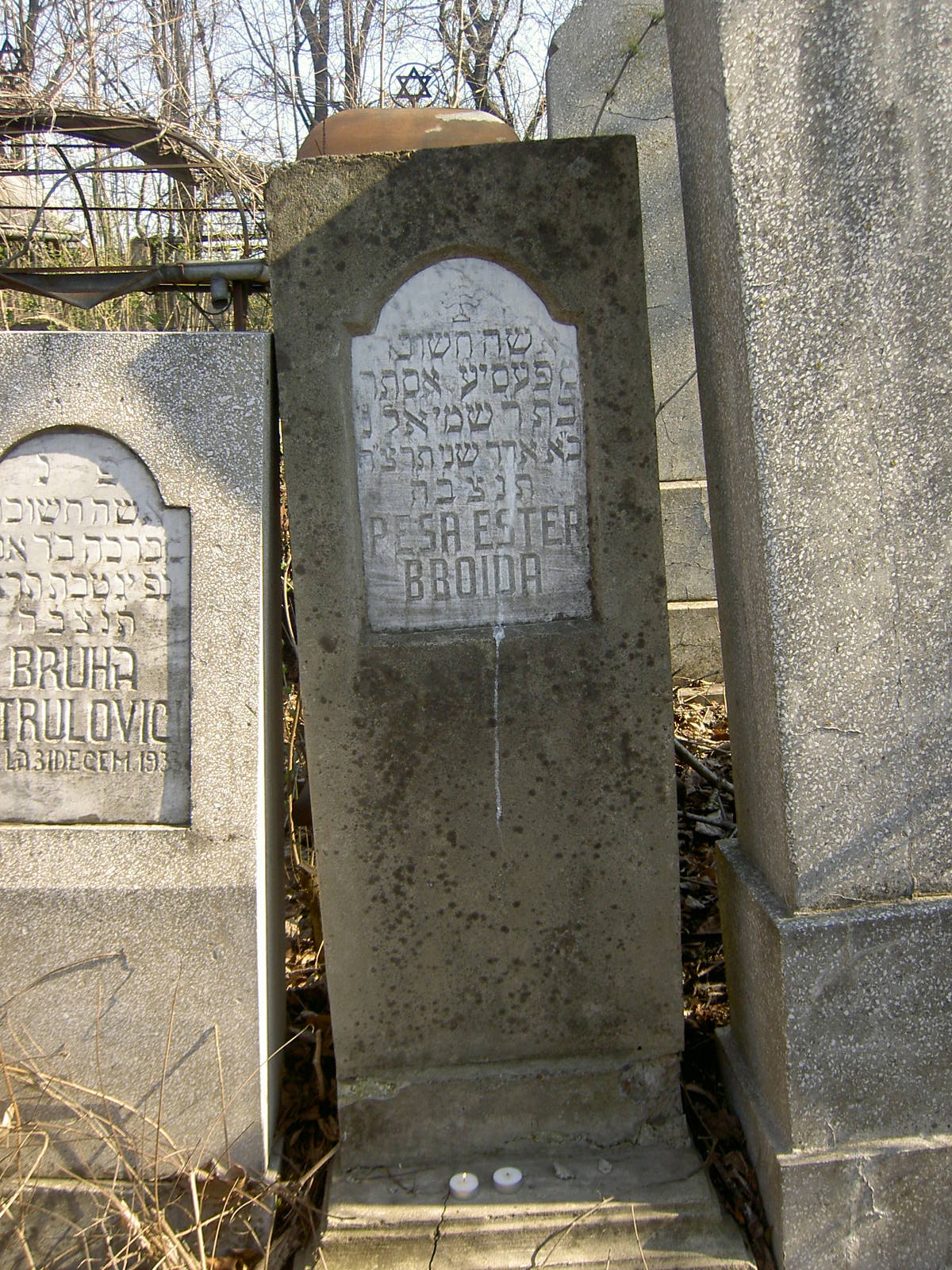 Taken on March 29th, 2007 at the Jewish (old or new) Cemetery at RO(Botoşani) and sourced from JG029873=ALX=FinkelsteinAlex.