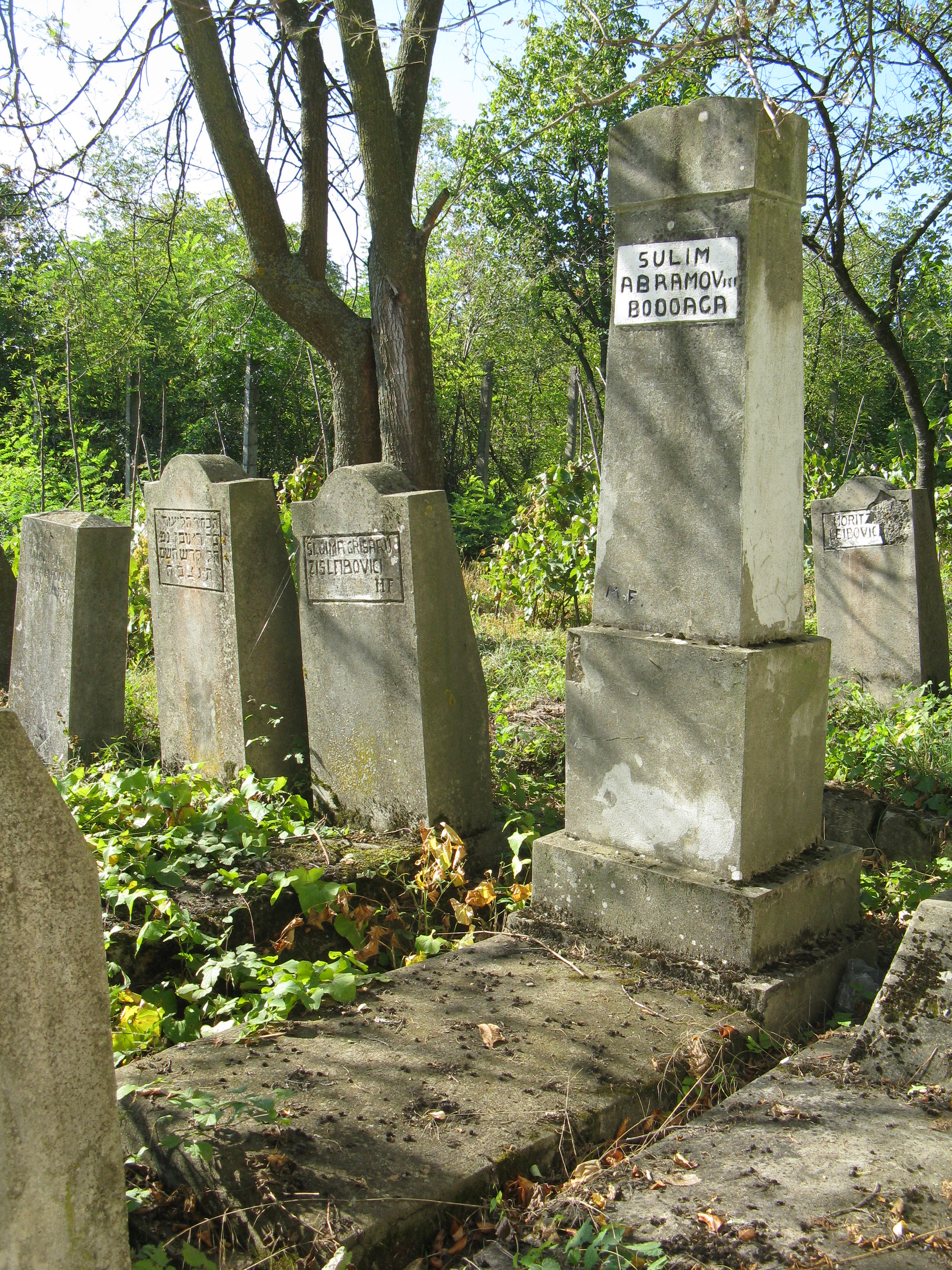 Taken at the Jewish Cemetery at RO(Stefaneşti) and sourced from MEDIA(HerscoviciIzu+Giza).