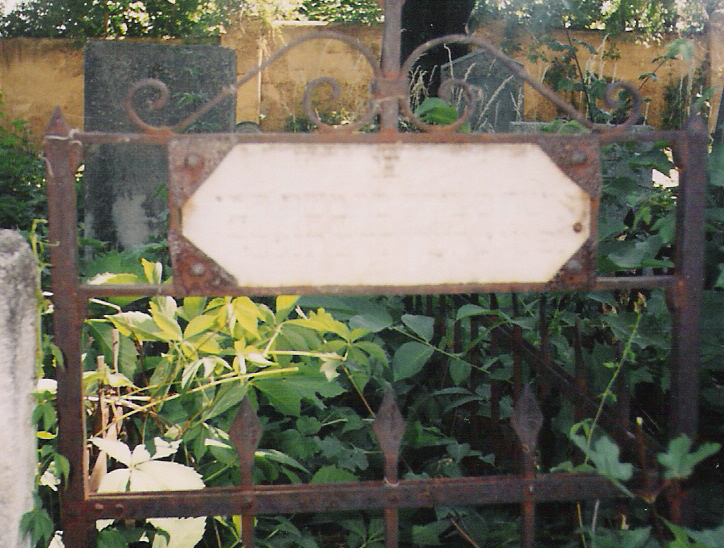 Taken in 2006 in Jewish (new) Cemetery at RO(Botoşani) and sourced from TEL(FinkelGustav).