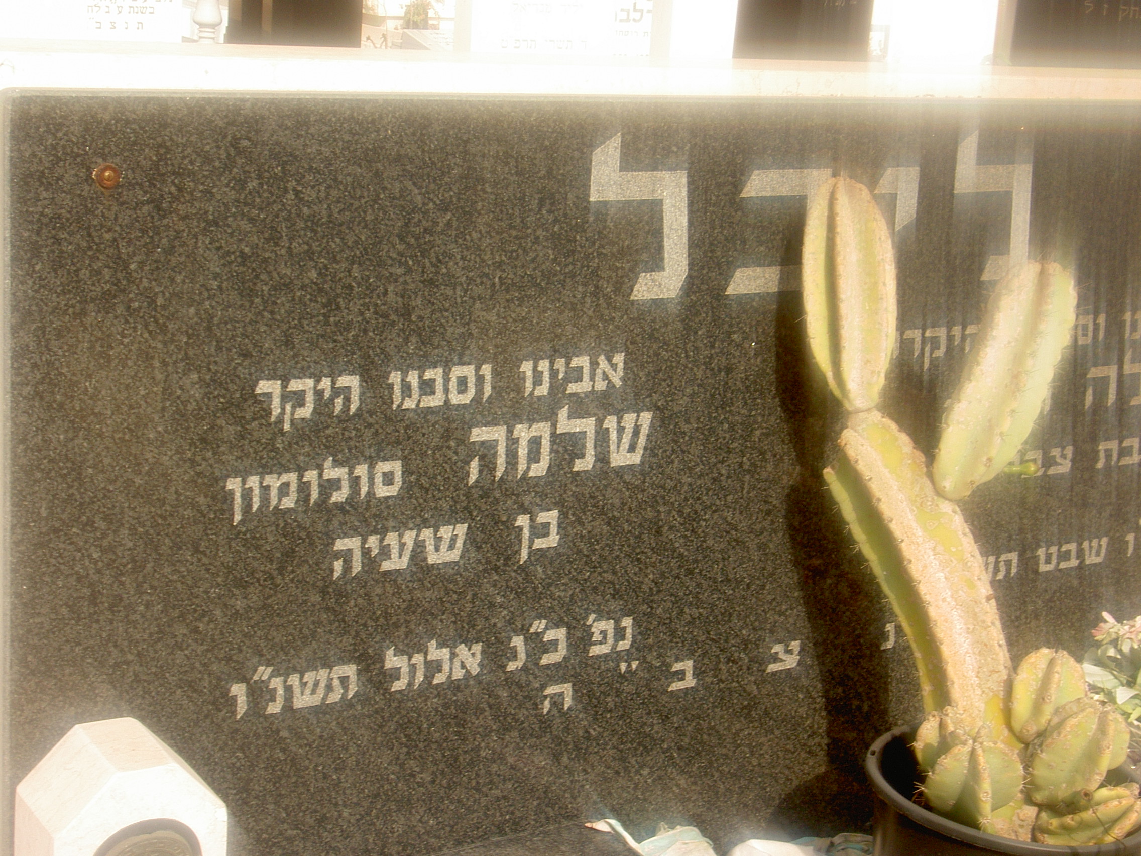 Taken on October 9th, 2007 at the Jewish Cemetery "Thecumah" (also known as "Nordau") for southern Sharon area and sourced from JG029873=ALX=FinkelsteinAlex.