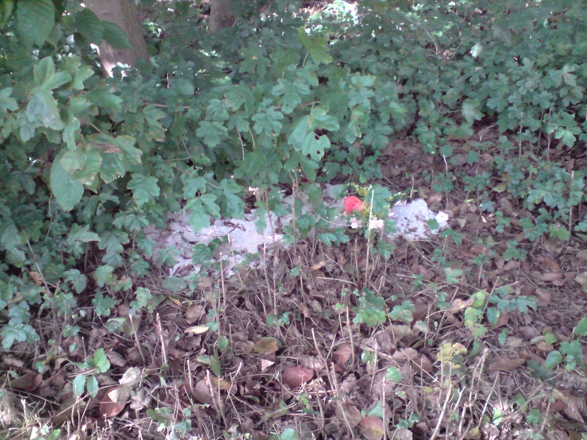 Taken on September 1st, 2009 in Heart of England Crematorium, Nuneaton, Warwickshire.