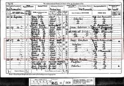Taken in 57 Lyndon, West Bromwich, Staffordshire and sourced from RG 11 Piece: 2850 Folio: 118 Page: 30.