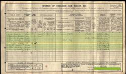Taken in 17 Queens Terrace, South Kirkby, West Riding, Yorkshire and sourced from Reg.Dist: 506 ED: 13 Piece: 27524.