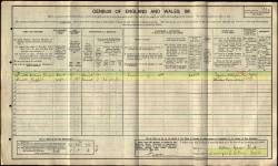 Taken in 95 Woodgate Street, Gt.Lever, Bolton, Lancashire and sourced from Reg.Dist: 461 ED: 25 Piece: 23434.