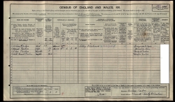 Taken in 1911 and sourced from Parkin William - Census - 1911.