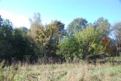 Taken&nbsp; сентября 2010 г в дер. Авыдниха and sourced from 2010 09 поездка в Невельский край.