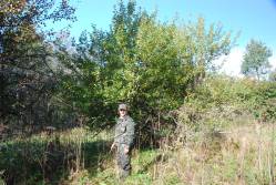 Taken&nbsp; сентября 2010 г в дер. Авыдниха and sourced from 2010 09 поездка в Невельский край.