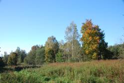 Taken&nbsp; сентября 2010 г в дер. Авыдниха and sourced from 2010 09 поездка в Невельский край.