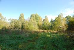Taken&nbsp; сентября 2010 г в дер. Авыдниха and sourced from 2010 09 поездка в Невельский край.