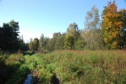 Taken&nbsp; сентября 2010 г в дер. Авыдниха and sourced from 2010 09 поездка в Невельский край.