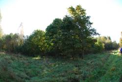Taken&nbsp; сентября 2010 г в дер. Авыдниха and sourced from 2010 09 поездка в Невельский край.