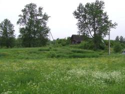 Taken&nbsp; июня 2009 г в дер. Караваи and sourced from 2009 июнь поездка в Великие Луки, Лихолетье, Ловец.