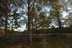 Taken&nbsp; сентября 2010 г  кладбище Норово and sourced from 2010 09 поездка в Невельский край.