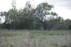 Taken&nbsp; сентября 2010 г в дер. Репище and sourced from 2010 09 поездка в Невельский край.