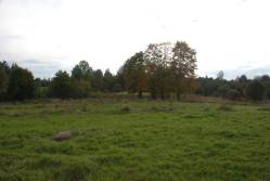Taken&nbsp; сентября 2010 г в дер. Самагариха and sourced from 2010 09 поездка в Невельский край.