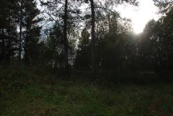 Taken&nbsp; сентября 2010 г в дер. Самагариха and sourced from 2010 09 поездка в Невельский край.