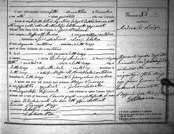  è stata fornita da Death record of Andrea di Luigi.