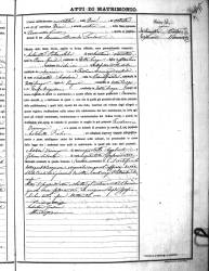  è stata fornita da Marriage act of Pietro Molinetti and Vincenza Testoni.