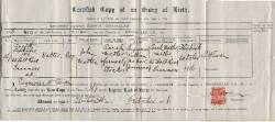 Taken in 1916 and sourced from Certificate - Birth.