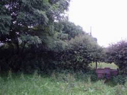 Taken in 2005 in Cullyvenney.