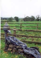 Taken in 2001 in Culmore.