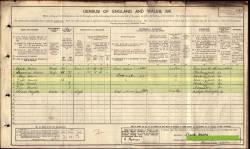 Taken in 50 Harold Street, Nuneaton, Warwickshire and sourced from Reg.Dist: 388 ED: 10 Piece: 18456.