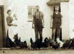  sourced from Lisa McMillan.