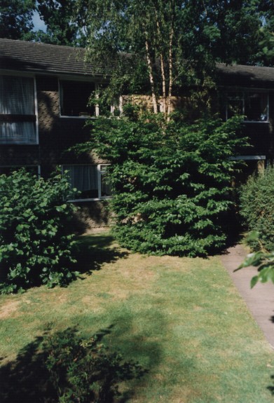 Taken about 1984 at 7 Hayden Court and sourced from Family Photos.